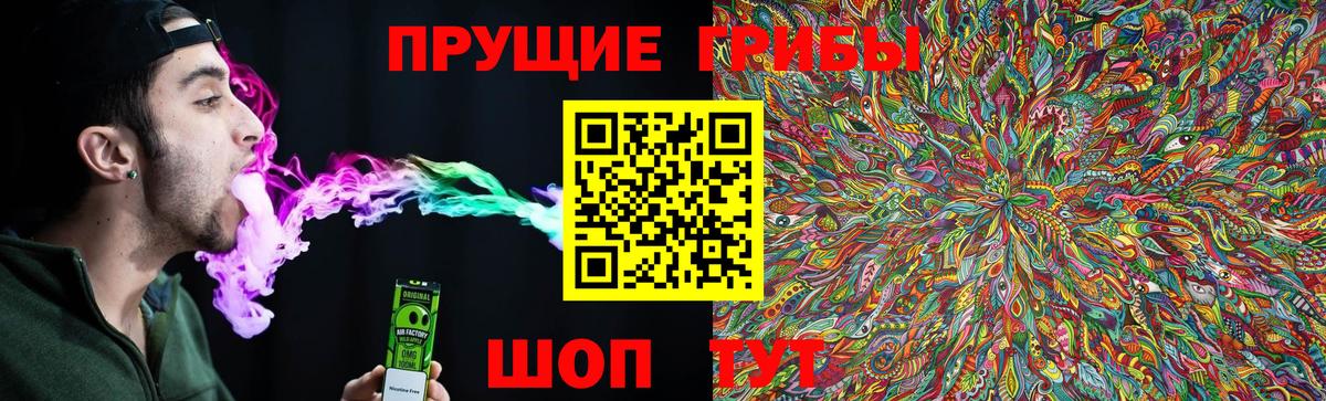 Галлюциногенные грибы Psilocybine cubensis  Вход с VPN  Сергиев Посад 